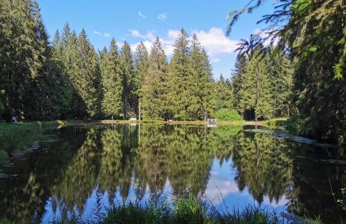 Nähe Nationalpark - Foto 14