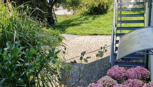 Modernes Studio im Geo-Naturpark Bergstrasse-Odenwald - Foto 4, Garden