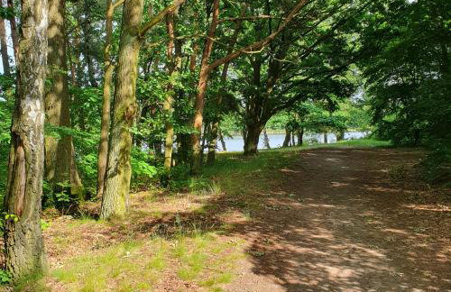 Dom Wakacyjny Wojnówko - Foto 3