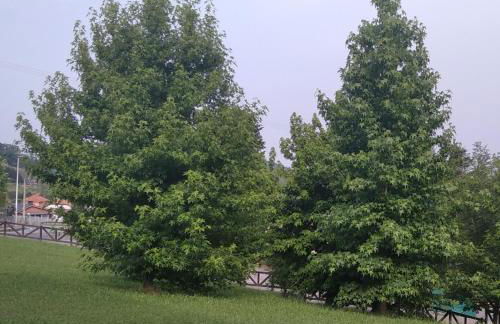 El Balcón de Villapresente - Foto 25