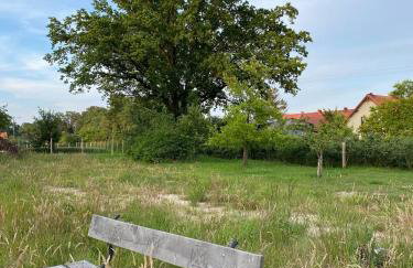 Agroturystyka Borów - Foto 28