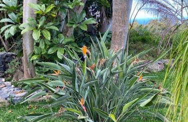 Tijarafe 2 - Foto 36