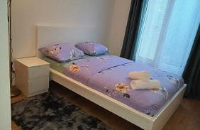 Dujardin Home - Foto 42