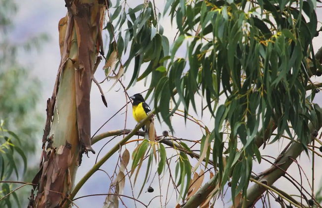 Samay Wasi Mala - Foto 18