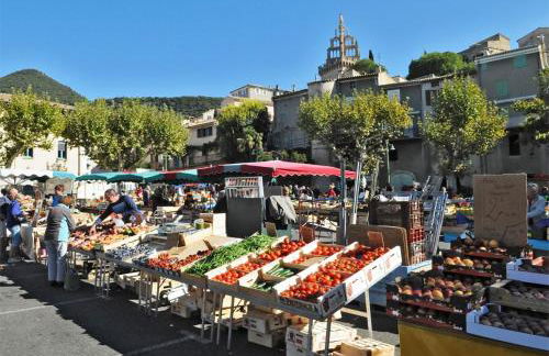 Entre garrigue et potager bio - Foto 48