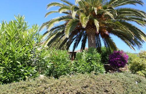 Casa Naranjo - Foto 17