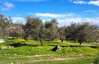 Villa Paquita - Foto 31