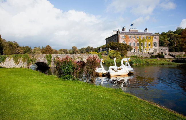 The Helm Sea View House - Photo 23