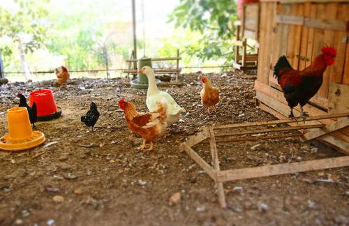 Casalesanpietro - Foto 48