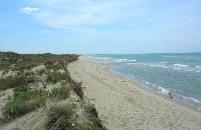 Seafront Apartment for Rent 6 Sleeps Skyscraper - Foto 33