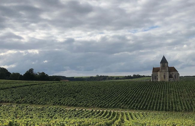 La Maison de Pauline - Foto 17