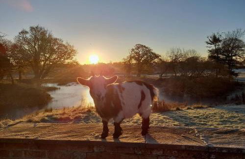 Simple Coastal Luxury near Southwold sleeps 10 - Foto 21