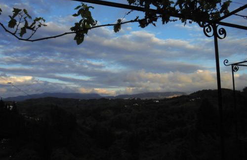 Hillsidehouse - Foto 10