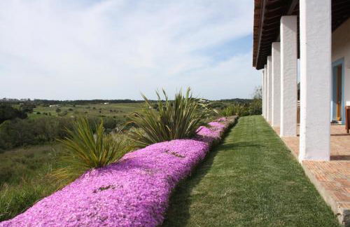 Monte da Sapaleira - Foto 18