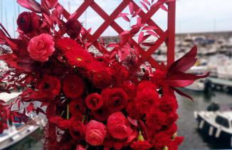 Pergolato junior - Foto 42