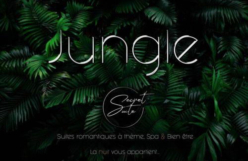 SECRET SUITE "Jungle" - Jacuzzi privatif - Gare RER C - Proche Paris - Foto 20