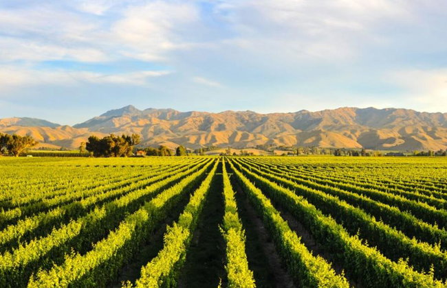 Ground Transportation Chauffeur Service with English Driver - Foto 8