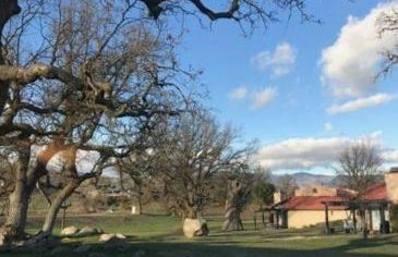 Beautiful Mountain Home - Photo 37