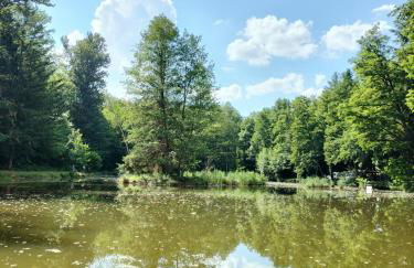 Les capucines la souris des champs - Foto 27