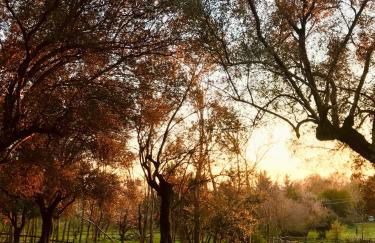 Casale della Spinosa - Foto 17