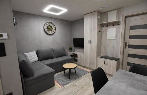 Apartament na TYLNEJ w Śremie - Foto 27