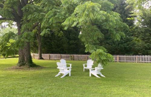 Crepe Myrtle - Foto 42