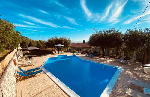 Olive Grove Poolside Apartments - Foto 30