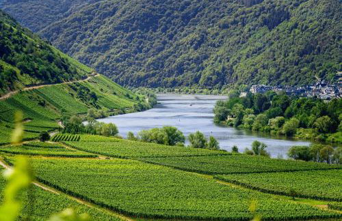 Ferienhaus Leopold mit Burgblick an der Mosel - Foto 74