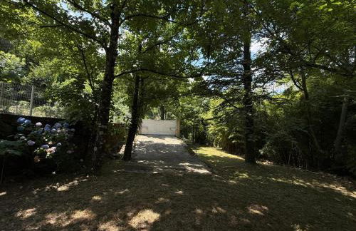 Les Cèdres - Foto 52