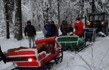 Domki na Wzgórzu - Rospuda - Domek z sauną - Foto 30