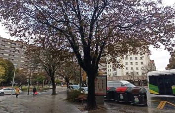 Piso Eugenio Fadrique Vigo - Foto 6