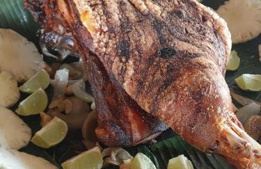 Hotel Fazenda Santa Helena - Photo 19