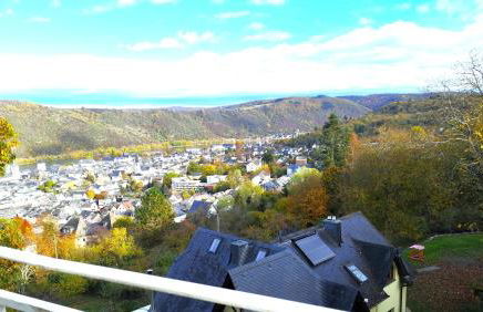 Little Rhine View Château - EG Apartment - Foto 9