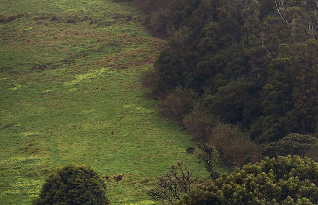 Liiiving in Açores-Mountain Island House - Foto 21