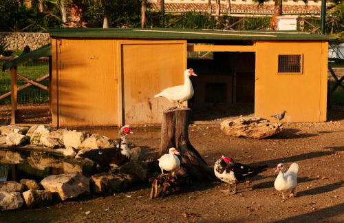 Agriturismo Papyrus - Photo 82