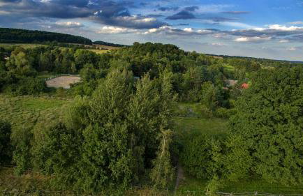 Ekoturystyka Nowina - Foto 10