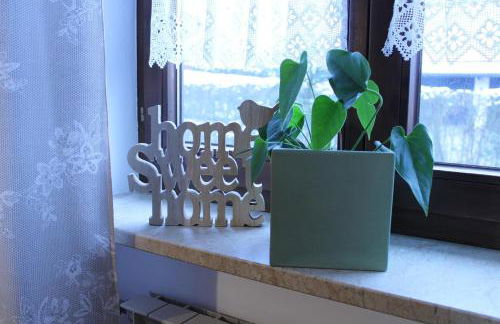 Ferienwohnungen Sternkopf - Photo 14