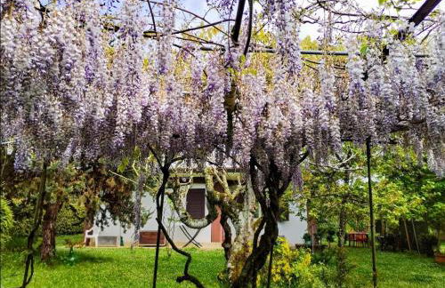 Casetta in Collina - Foto 12