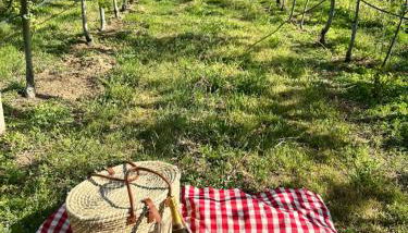 Casa Vicente - Photo 3