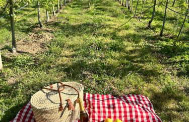 Casa Vicente - Foto 3