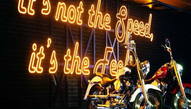 Iguazú - Traumpark - mit Transfer - Foto 4