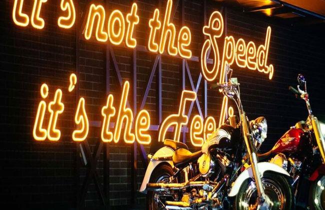 Iguazú - Traumpark - mit Transfer - Foto 4