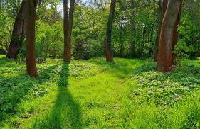 Haus Wipperblick - Foto 31