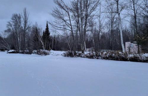 Lake Willow Lakefront House! Northwoods Retreat! - Foto 4