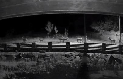 Somewhere Between Apartments - Foto 26