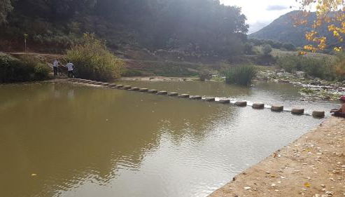 Apartamento El Serrano - Foto 2