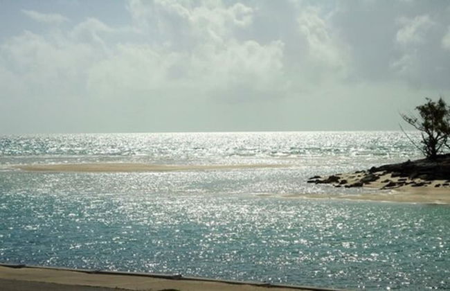 Orange Creek Inn - Foto 33