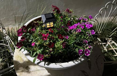 Casa Jardim - Foto 51