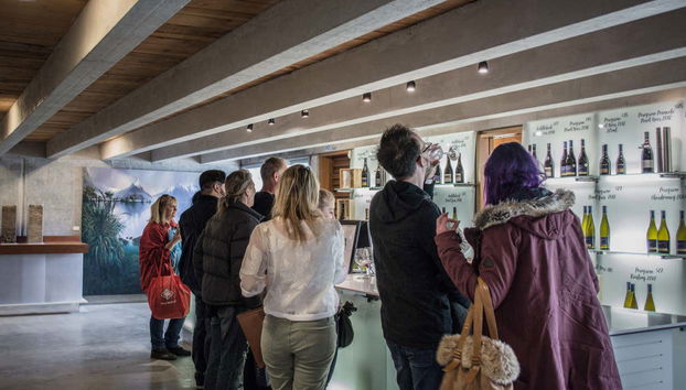 All'interno di una cantina