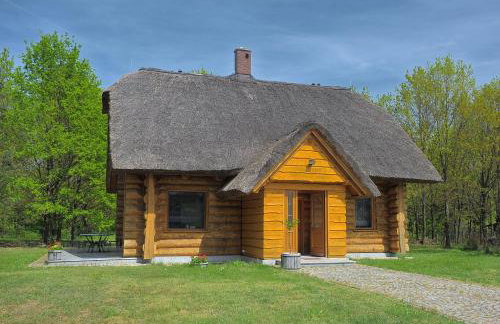 Dom pod sosnami - Foto 9